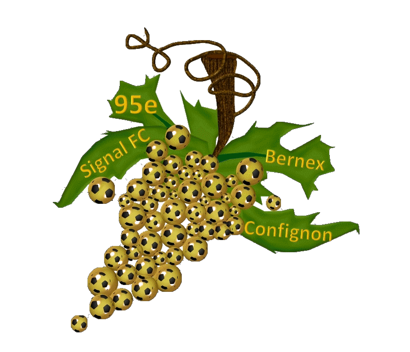 logo 95ème