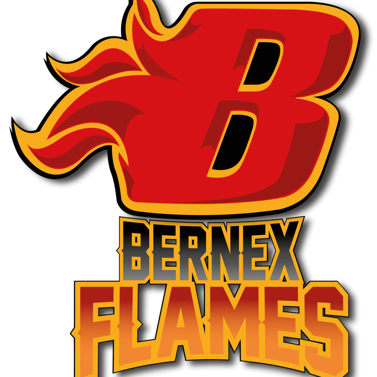 Logo HC Bernex