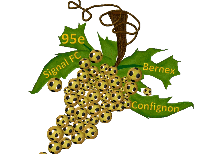 logo 95ème