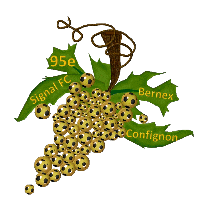 logo 95ème
